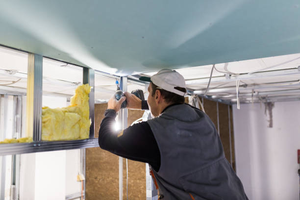 Best Insulation Installation Services in Haines, AK