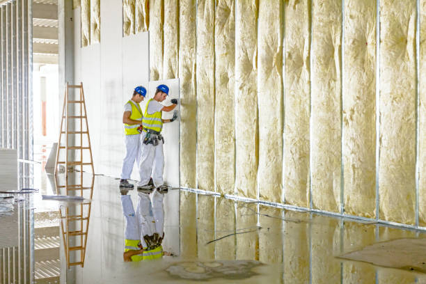 Best Insulation Maintenance and Repair in Haines, AK